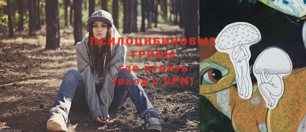 дживик Баксан